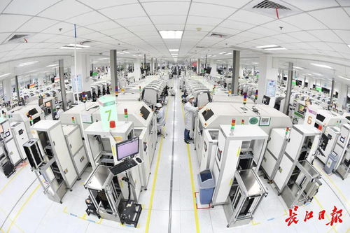 智造大城新标杆 解码武汉智能工厂的“智高点”——纸制品制造业的转型之路